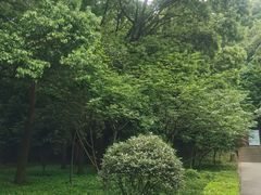 -上海佘山国家森林公园天马山园