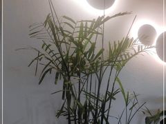 -Bai Meow法式西点咖啡