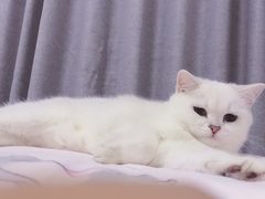 -甄爱宠物医院(疏影路店)
