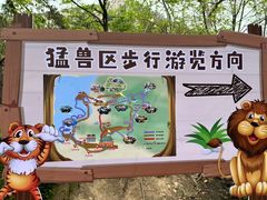 -西霞口神雕山野生动物世界