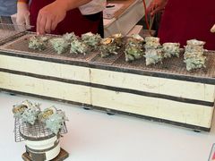 -金泽21世纪美术馆