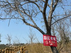 -白水寺森林公园