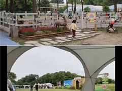 -洪湖家庭农场·团建·露营·会议