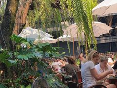 -Fern Forest Cafe