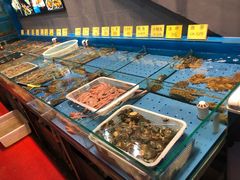 水产区-潮庭·大连海鲜·炭火烧烤·扇贝王(大连店)