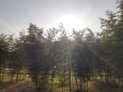 -嘉北郊野公园