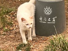 -麦陌(大卫城店)