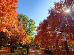 -长春市南湖公园