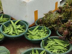 -东仓门早市