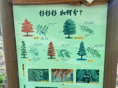 -梁鸿国家湿地公园