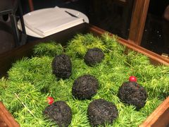 -小运河·公馆(国贸店)