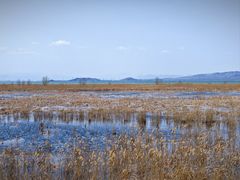 -野鸭湖国家湿地公园