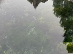 -解放阁