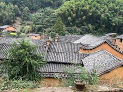 -杨家堂村