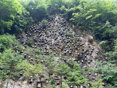 -神农架景区