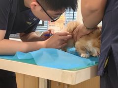 -美迦爱-牙专科·兔科·骨科诊疗中心(北苑店)