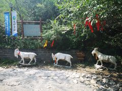 -鸡鸣山旅游风景区