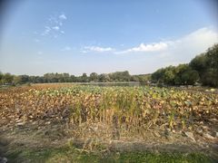 -长春市南湖公园