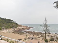 -广东惠东海龟国家级自然保护区