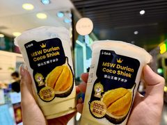 -圣淘沙天际线斜坡滑车