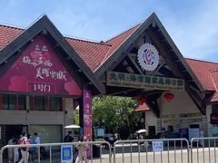 -上海海湾国家森林公园