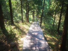-北京十三陵国家森林公园蟒山景区