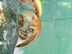 -蓝湾碧波·老字号·疍家非遗海上餐厅