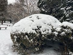 -天坛公园