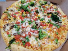 -达美乐比萨(朝阳路店)