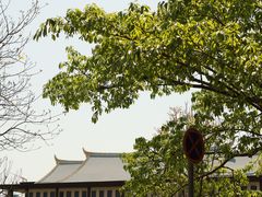 -五缘湾湿地公园