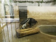 -石家庄市动物园