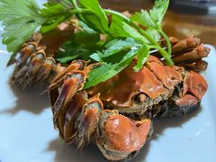 -呼吸森林·生态农庄农家乐私房菜