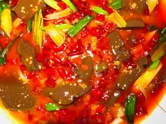 -雲蜀龙阁·金牌水煮鱼(方庄店)