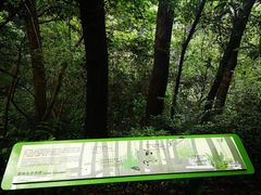 -西湖风景区-江洋畈生态公园