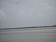 -观潮胜地公园
