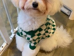 -PETKIT小佩宠物·低压洗护(国顺东路店)