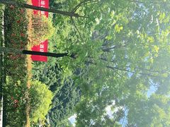 -九龙湾景区拓展会议