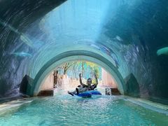 -新加坡水上探险乐园