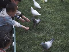 -西安曲江寒窑遗址公园