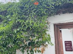 -瑞丰园庭院餐厅·白族传统家常菜