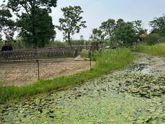 -宁波杭州湾国家湿地公园
