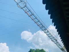 -客天下恐龙水晶玻璃桥