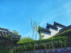 -邊城書店