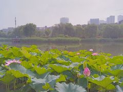 -西海子公园