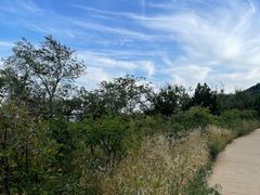 -北京西山国家森林公园