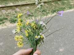 -永定河休闲森林公园