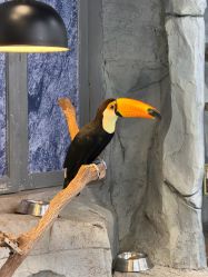 -Zoolung Zoolung动物主题公园(海信广场店)