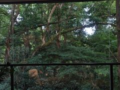-杭州植物园