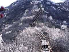 -大岭沟猕猴桃谷风景区