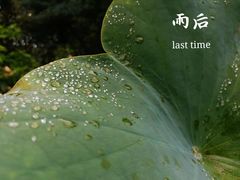 -宝光寺